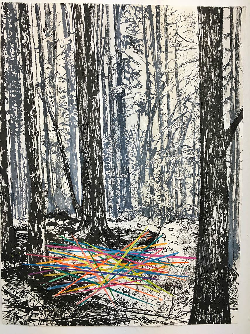 Pick-up-Sticks-2017-Pen-and-ink-pencil-crayon-16x10